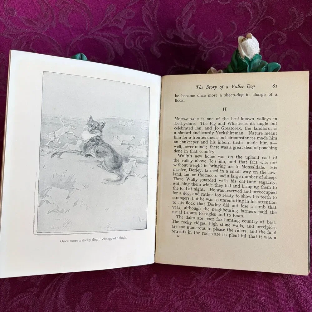 Ca 1925 Raggylug and Other Stories from Wild Animals I Have Known by E. T. Seton